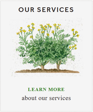 Services